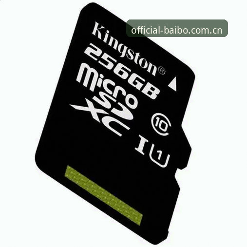 百博体育官方网站vs官方正版入口：v2.1.0版本体验与选择深度对比